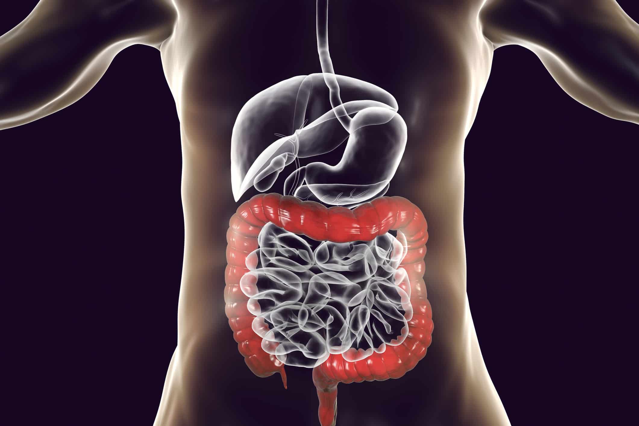 Natural Colon Cleanse