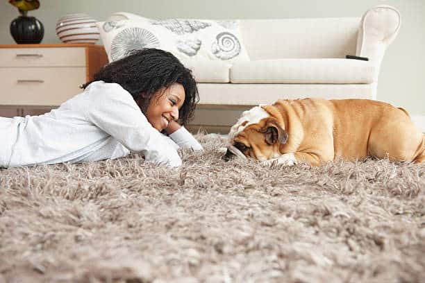 pet allergies