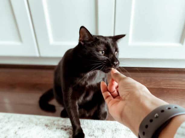 household odor