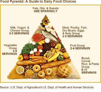 food pyramid