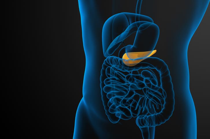 3d render medical illustration of the gallblader and pancrease - side view
