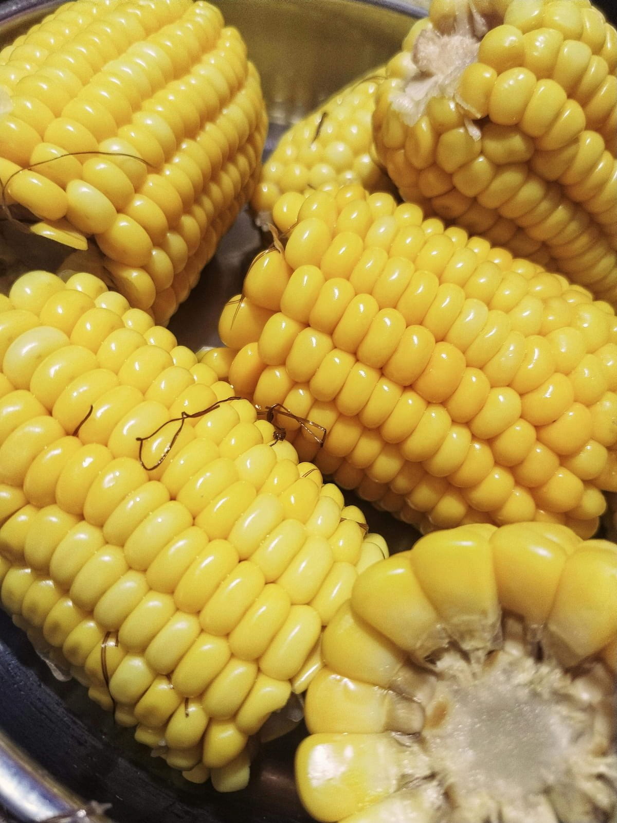 is corn bad for you