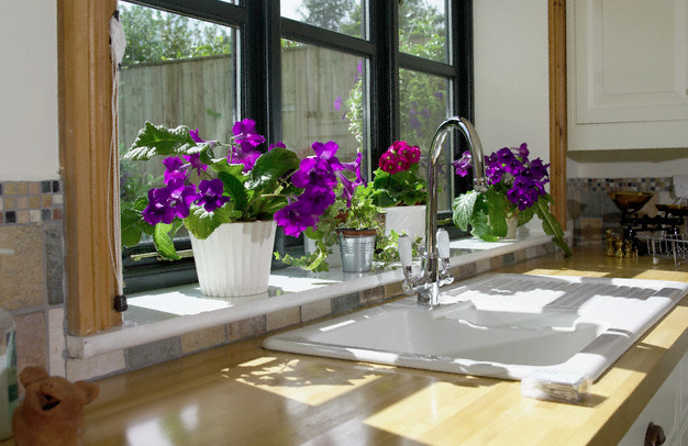 A kitchen window with purple flowering plants