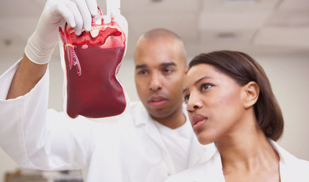 Doctors looking at a bag of blood