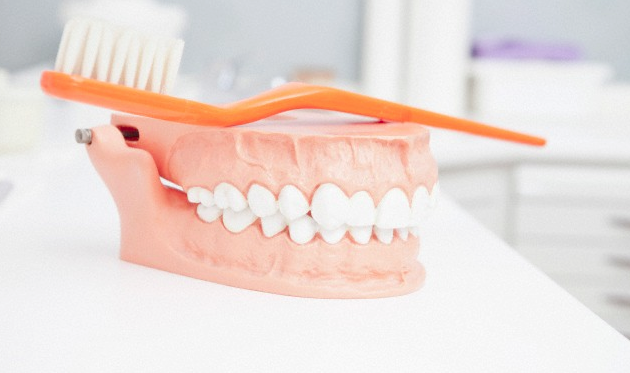 A dental teeth model