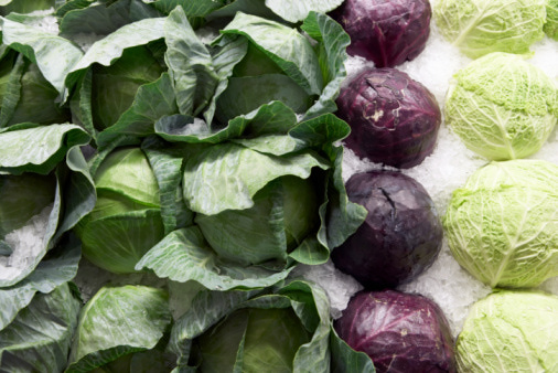 Purple Cabbage Vs. Green Cabbage 
