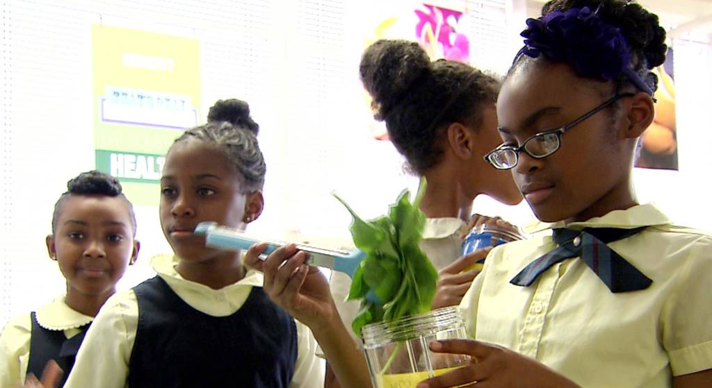 baltimore school smoothies
