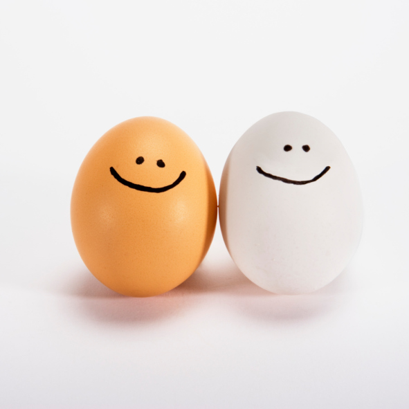 eggs