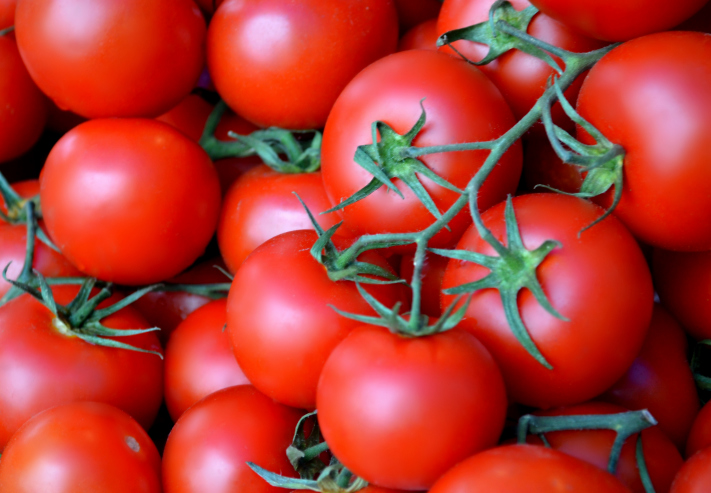 tomatoes