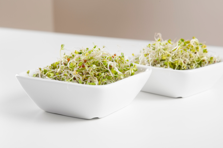 broccoli sprouts