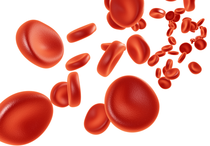 blood cells