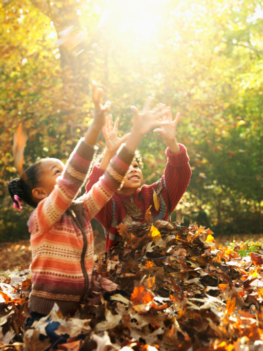children playing in leaves