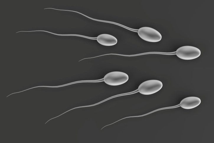 sperms