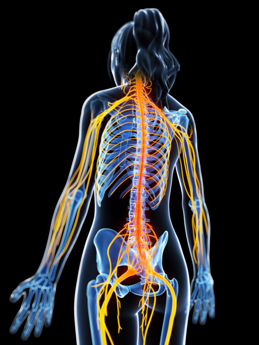 woman painful nerves