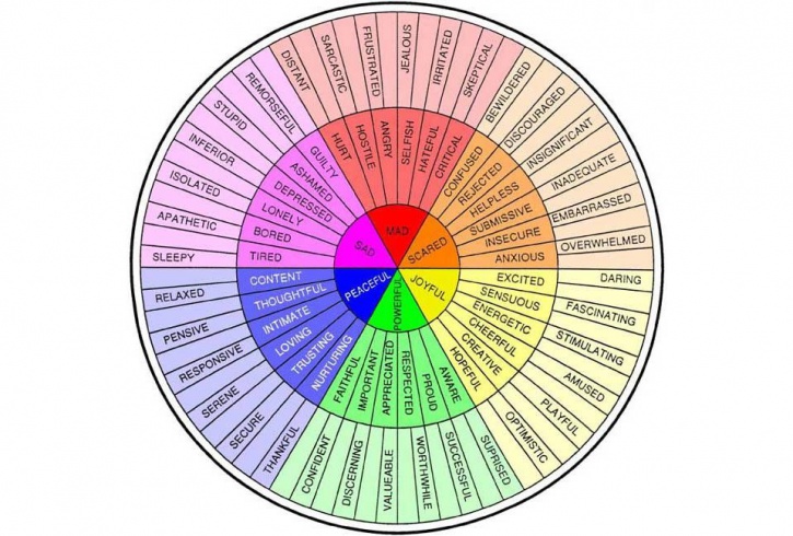 Feeling Wheel