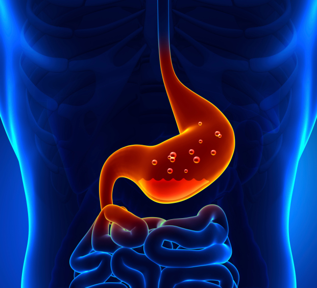 animated stomach