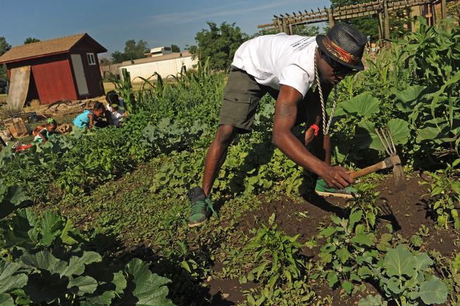 DENVER, CO - JULY 3: Ietef Vita, aka, DJ Cavem Moetavation, right, gets rid of weeds as his wife Neambe Leadon Vita, in back at right, and her daughter Selasia, 3, in blue and Libya, 21 months, in green on left, plant seeds in the couple's gardens at 33rd and Elm street in Denver, CO. on July 3, 2013. The couple try to grow as much food as possible as part of their vegan and healthy diet. As part of our "Summer of Love" series for the Style section we profile the relationship of DJ Cavem Moetavation (a.k.a. Ietef Vita) and his wife Neambe Vita. They are proud and longtime Five Points residents. They're artists, community activists, musicians, teachers and more. They espouse the idea of being vegan or vegetarian and promote eating healthfully and organically. Photo by Helen H. Richardson/The Denver Post)
