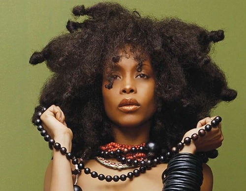 Erykah Badu hair