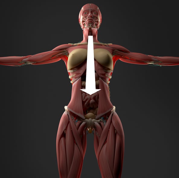 how to speed up your metabolism
