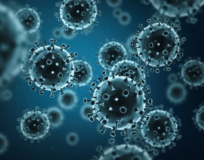 flu virus