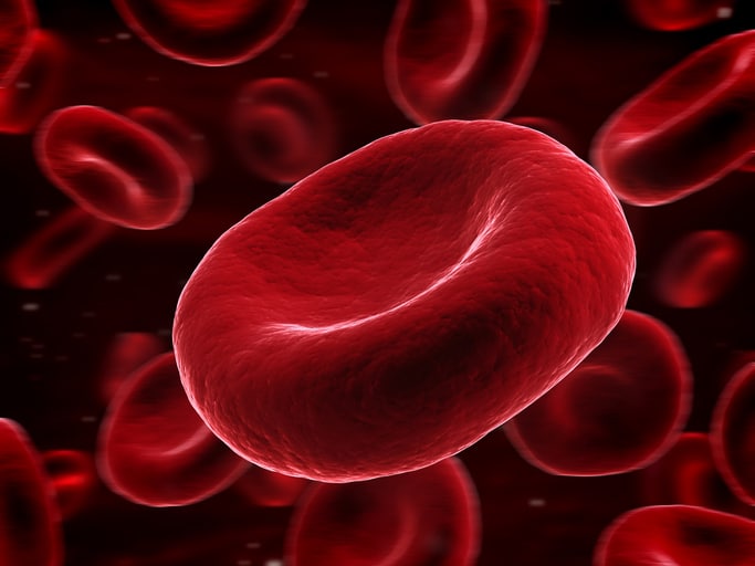 blood cell