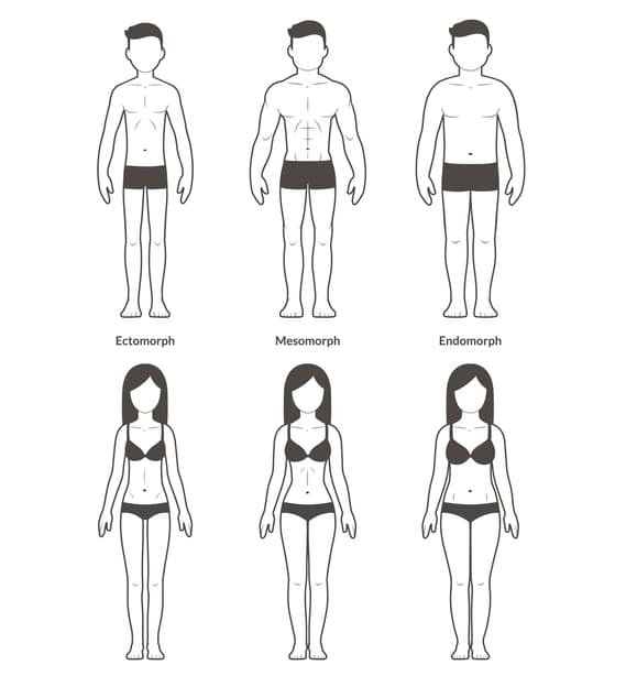 Body Types