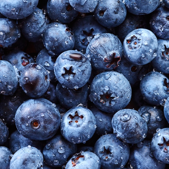 Blueberries with drops of water