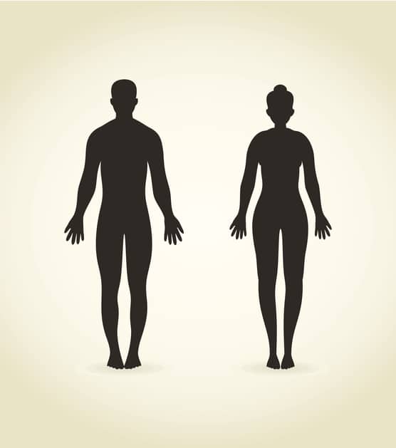 The image the man and the woman. A vector illustration