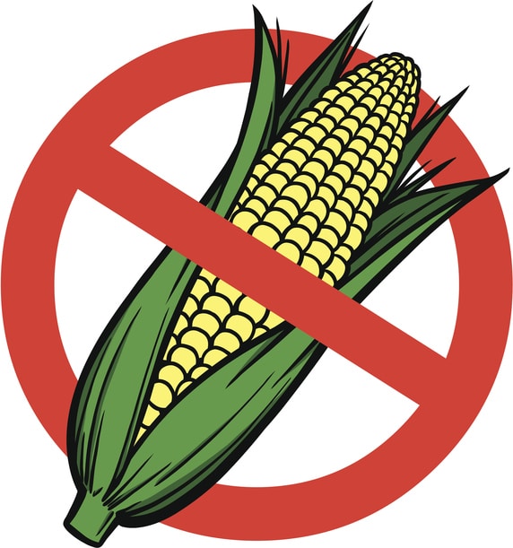 No high fructose corn syrup