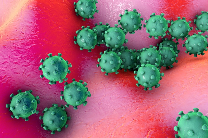 Viruses