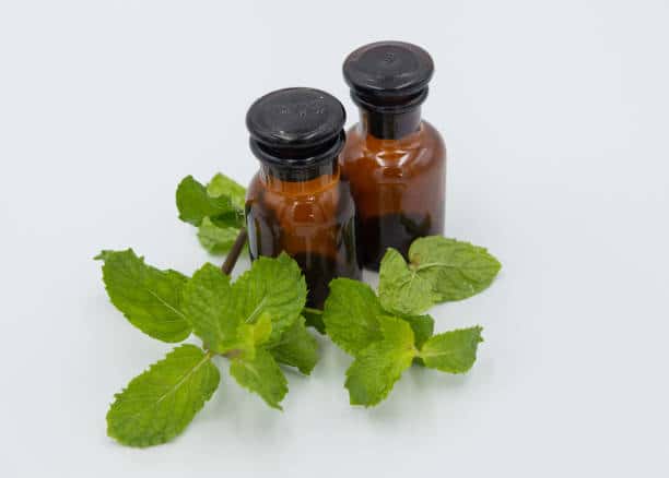 herbs for lungs