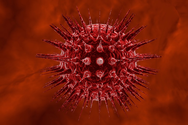 HPV