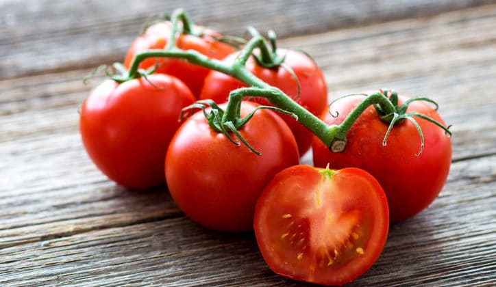 fresh tomatoes