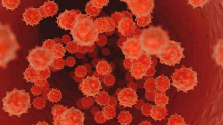 3D bacteria red