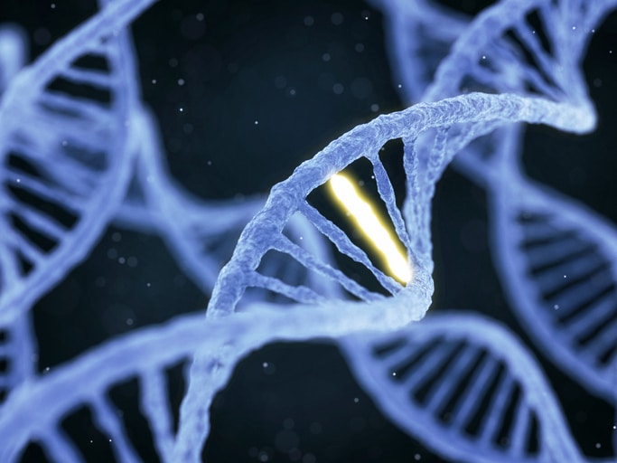 DNA genes