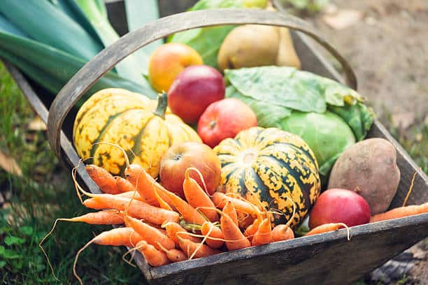 fall foods