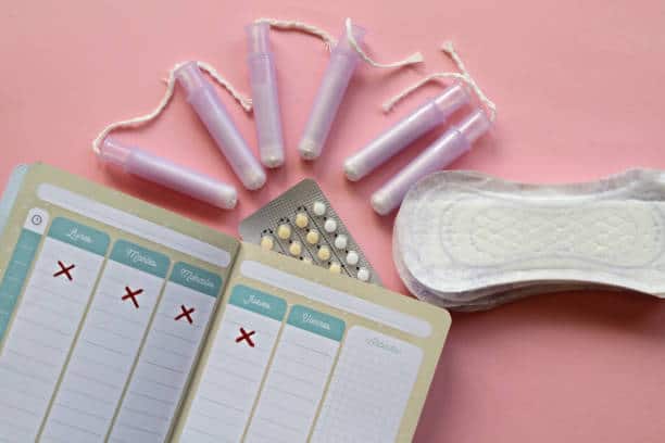 menstrual cycle