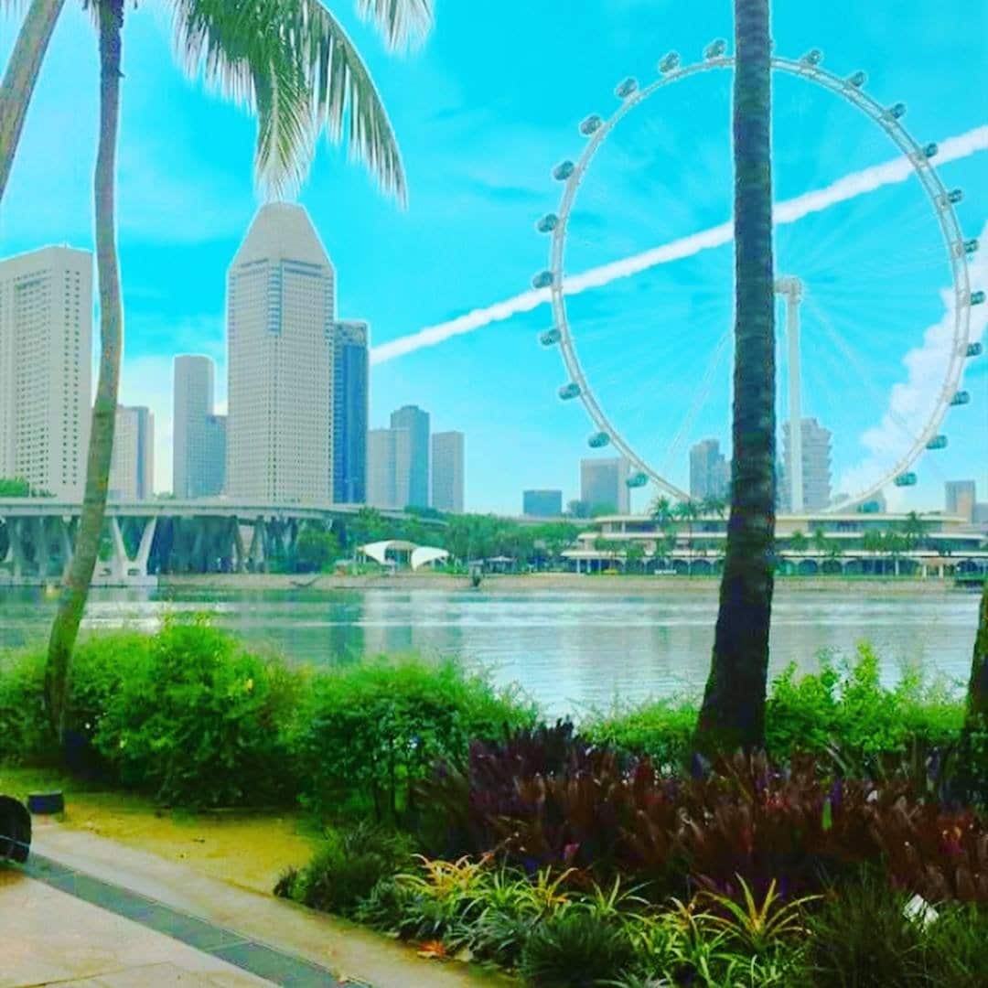 singaporeferriswheel