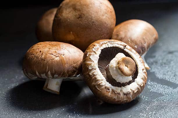 Prebiotics & Probiotics prevent memory loss