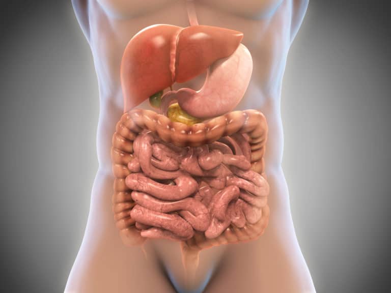 how to detox your gut