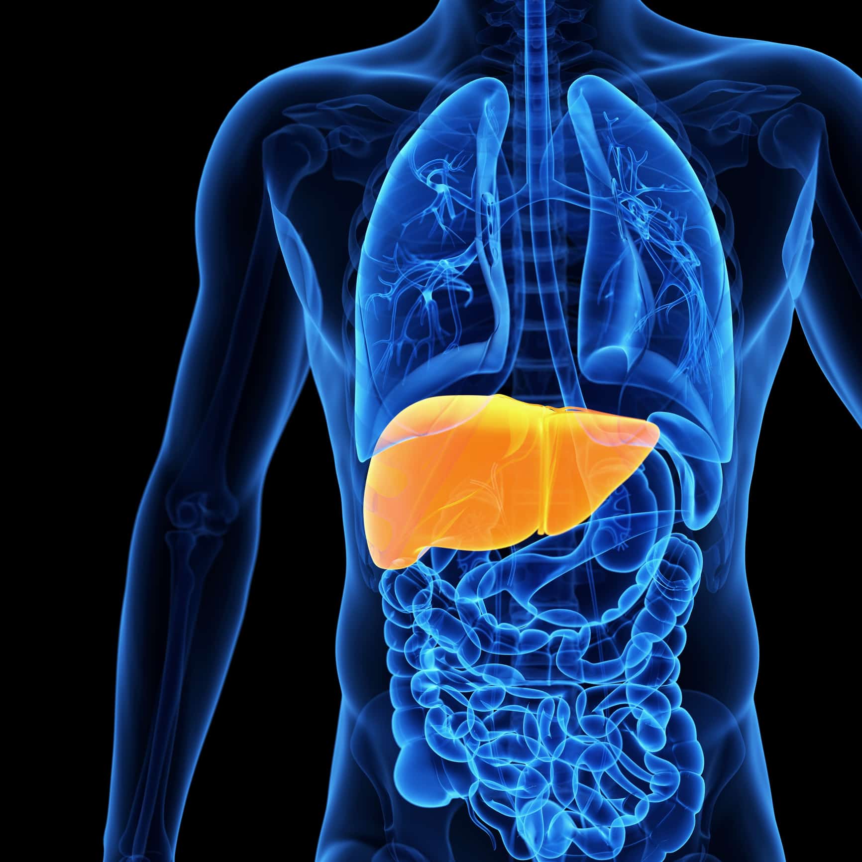 Best Fruits For Liver