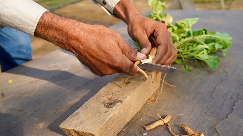 ashwagandha