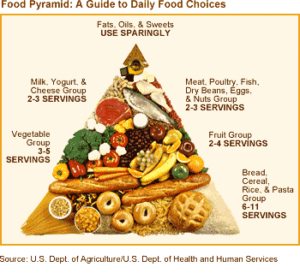 Food Pyramid