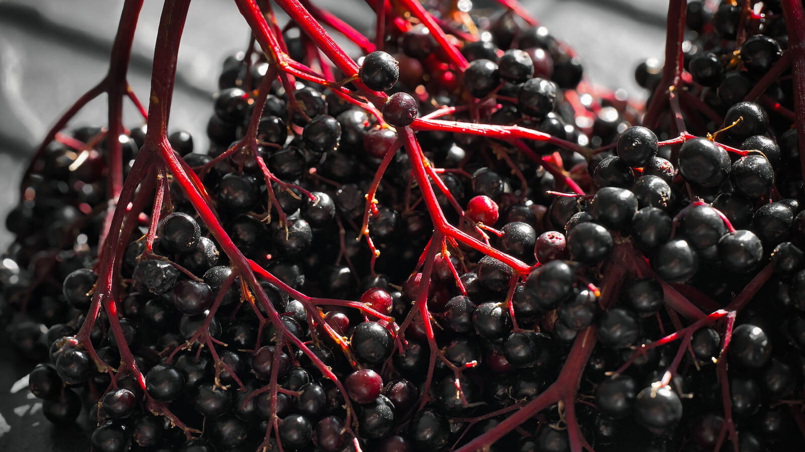 immune-boosting foods