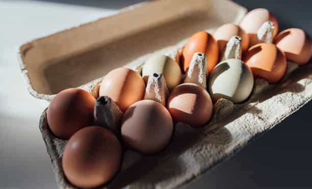 eggs for fibroids