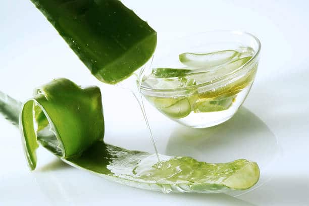 aloe vera for itchy scalp