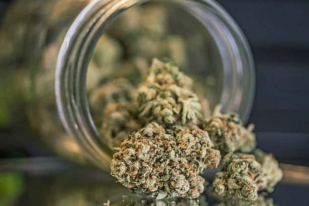 weed
