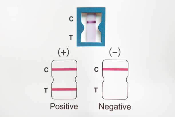 rapid antigen test