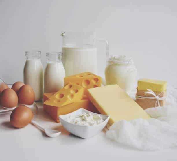 dairy