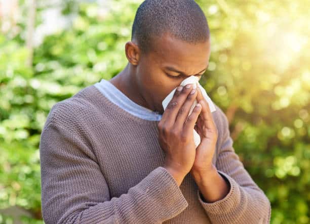 spring allergies